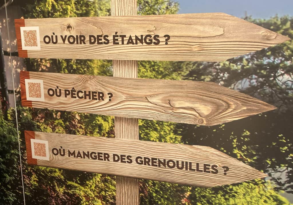 Scénarisation d'un conteneur situé à la sortie du Parc des Oiseaux pour Dombes Tourisme